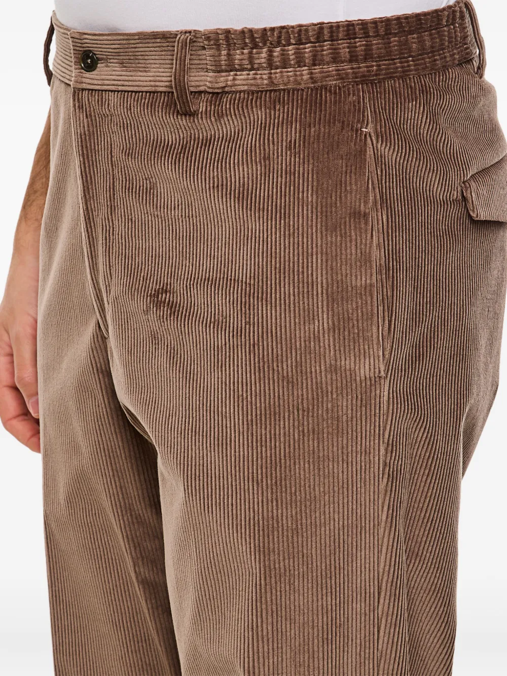 Tagliatore Ribfluwelen broek Bruin