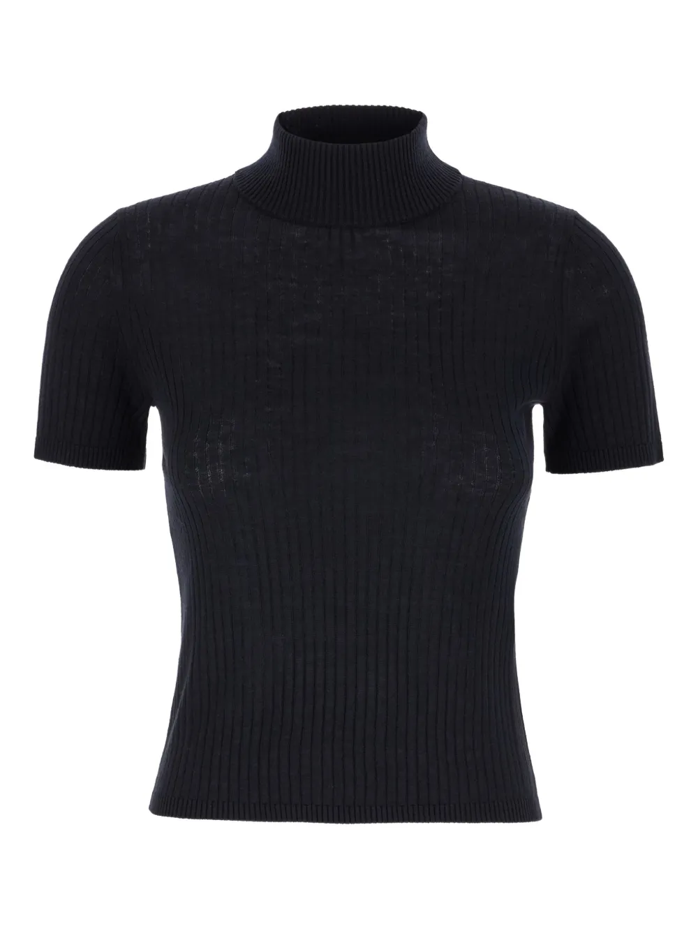 Max Mara ribbed turtleneck T-shirt Blauw