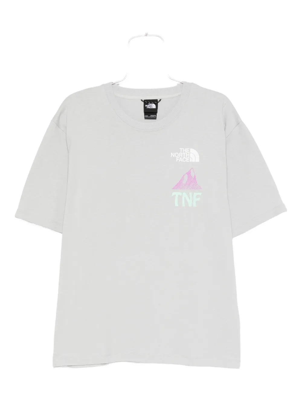 The North Face Heaven N Earth T-shirt Grijs