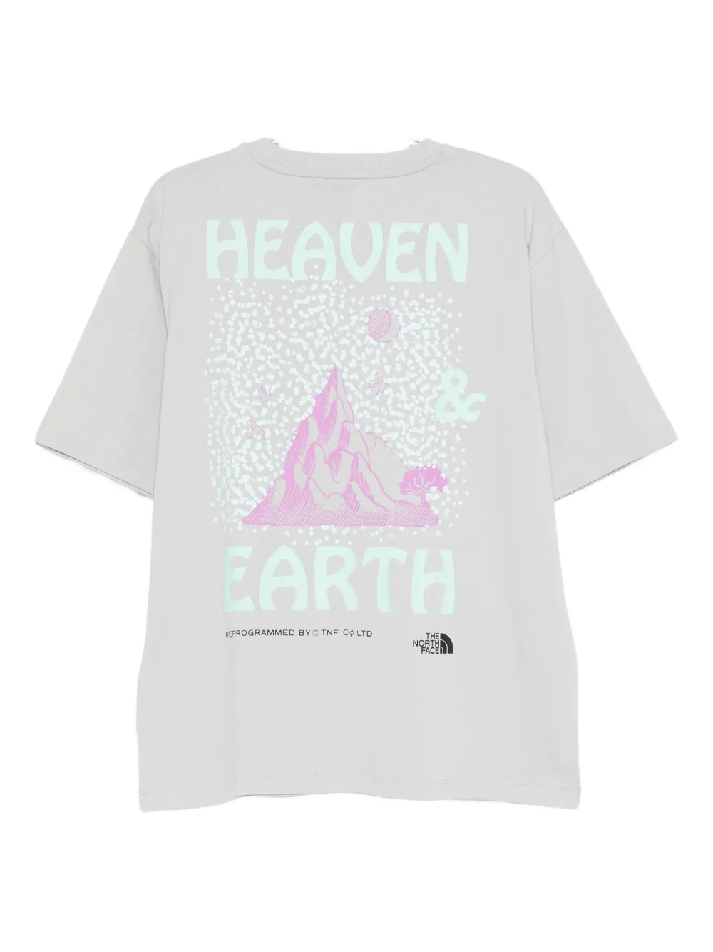 The North Face Heaven N Earth T-shirt Grijs