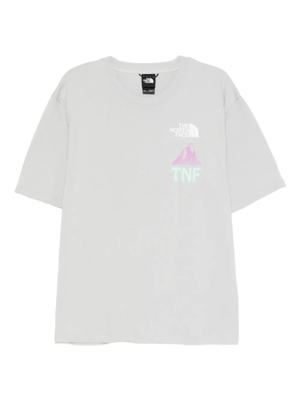 The North Face Heaven N Earth T-shirt Grijs