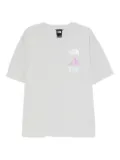 The North Face Heaven N Earth T-shirt - Grey