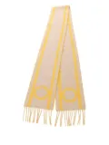 Hermès Pre-Owned 2010s Bandes de Dépôt scarf - Neutrals