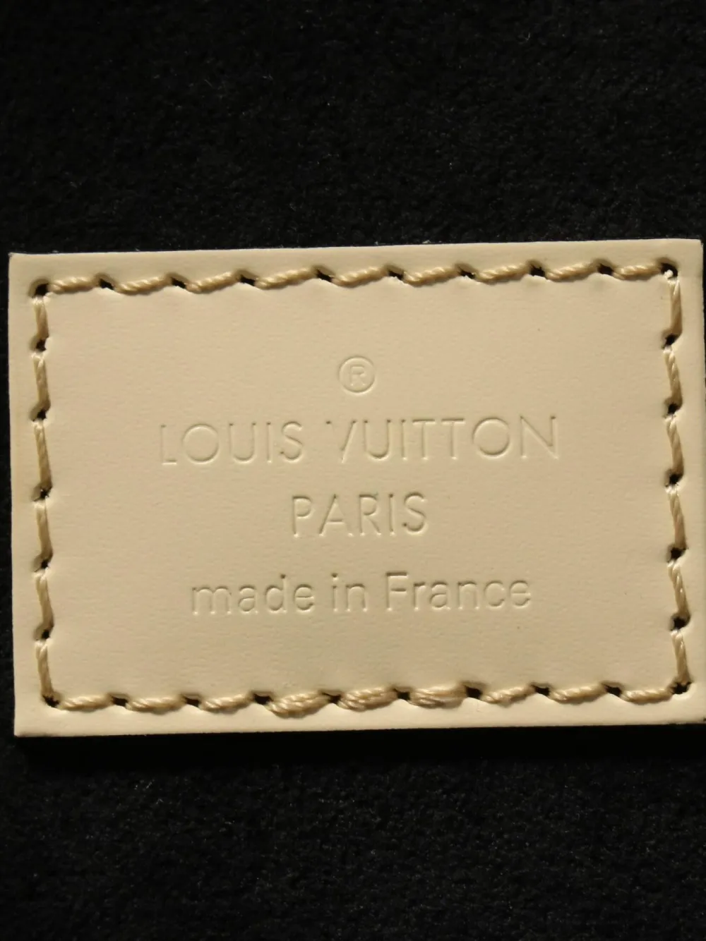 Pre-owned Louis Vuitton 2018 Cannes Bucket Bag