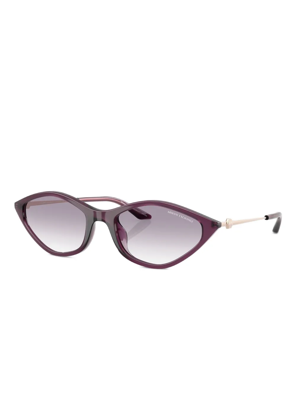 Armani Exchange Zonnebril met geometrisch montuur - Paars