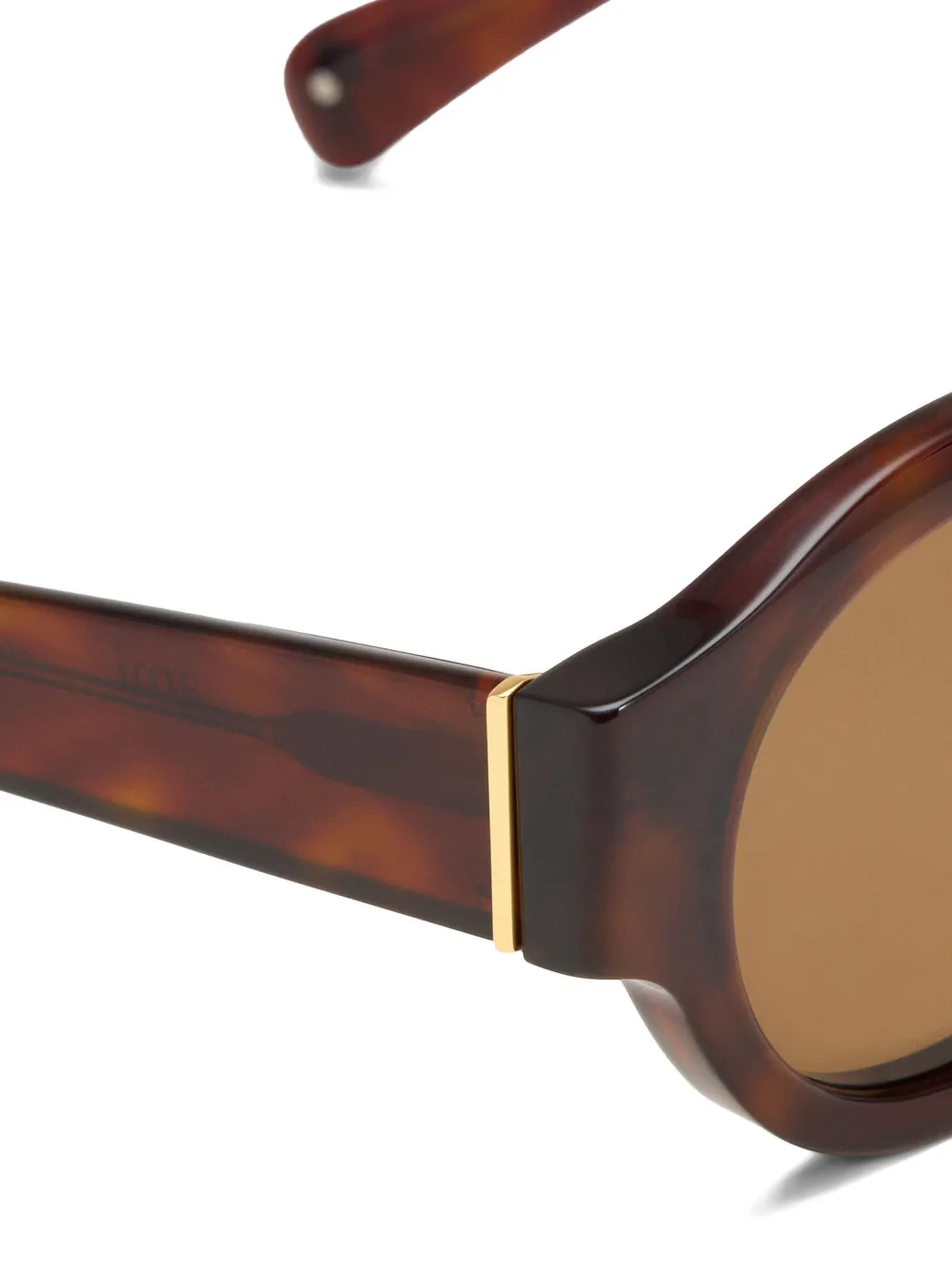 AMI Paris 75002 zonnebril Bruin