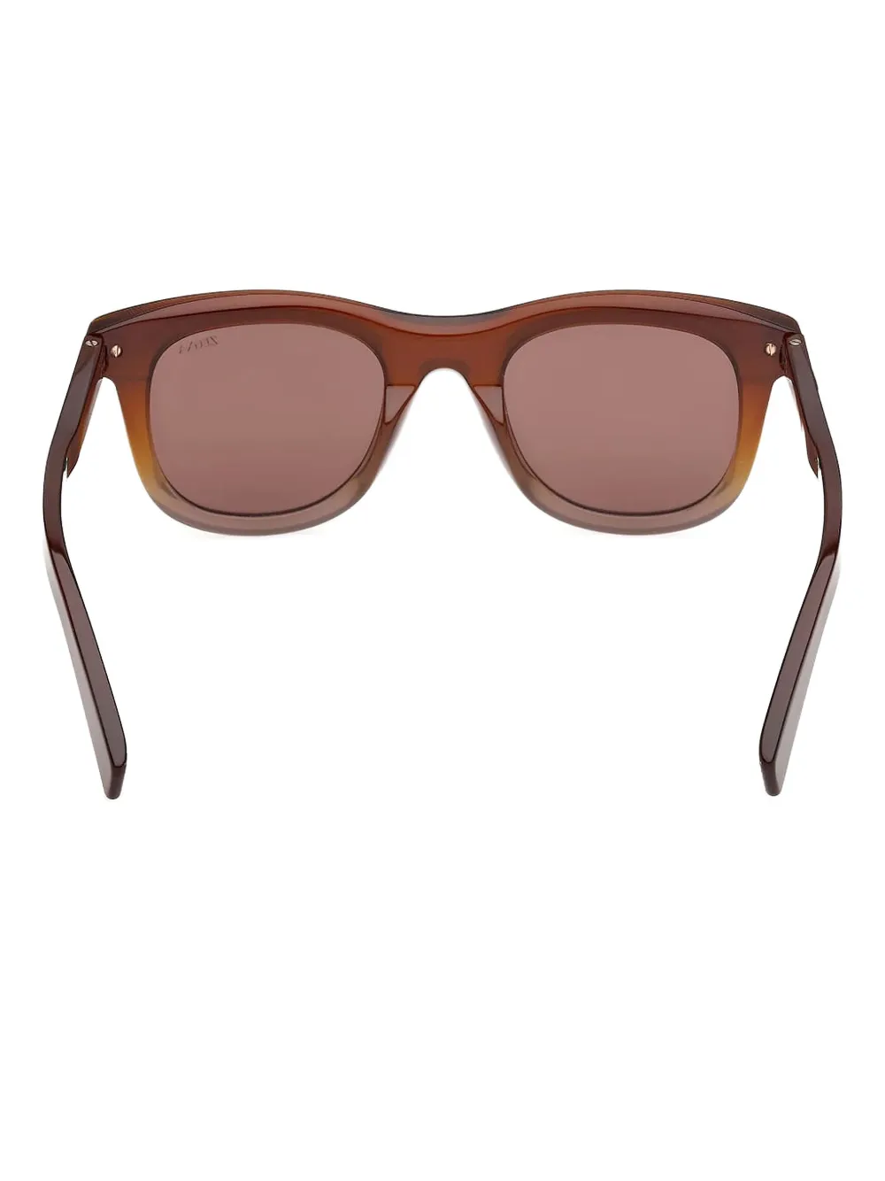 Zegna EZ0269 zonnebril met getinte glazen Bruin