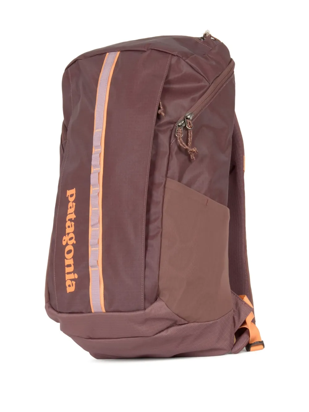 Patagonia Black Hole 25 L rugzak met vlakken Paars