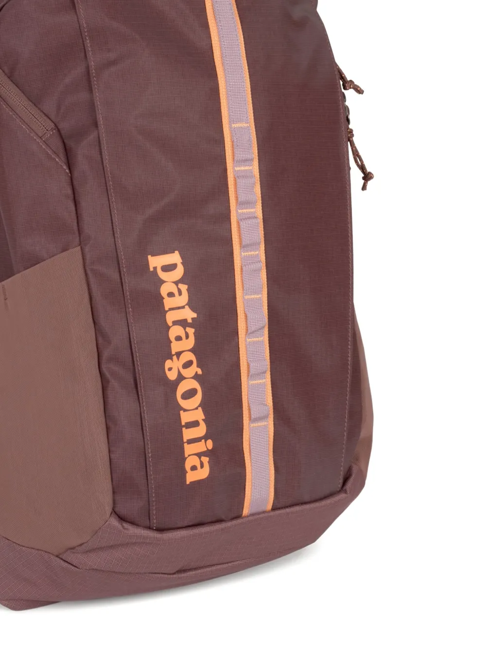 Patagonia Black Hole 25 L rugzak met vlakken Paars