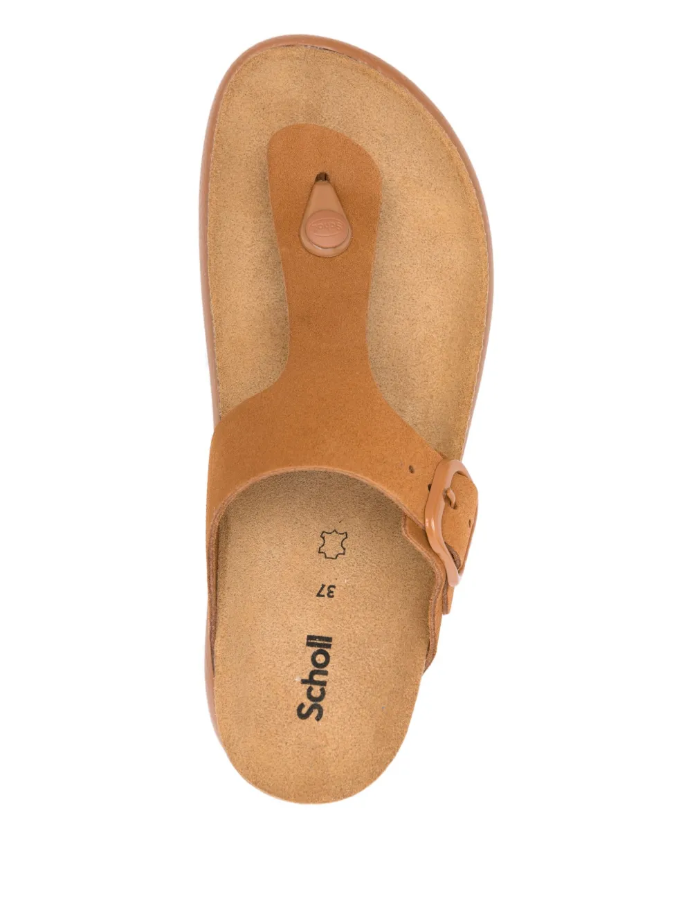 Scholl buckle-fastening thong sandals Brown