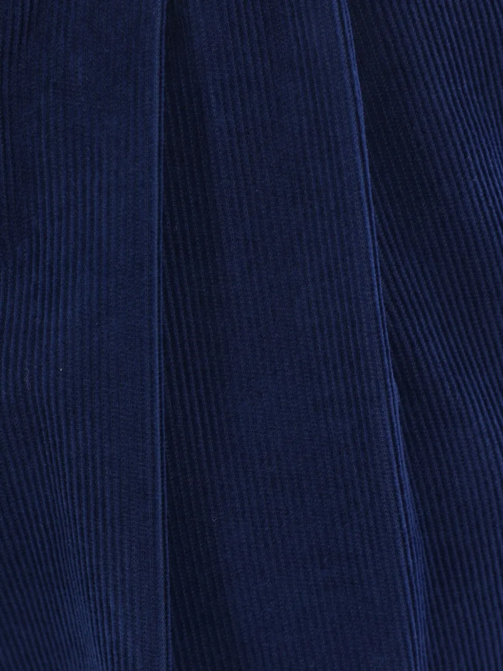Brunello Cucinelli corduroy drawstring trousers Blauw