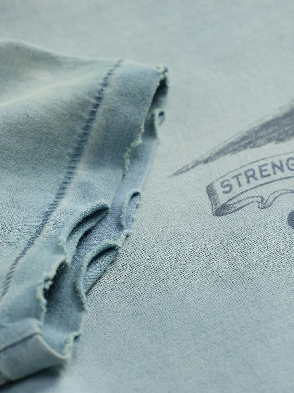 Ralph Lauren RRL T-shirt met grafische print Blauw