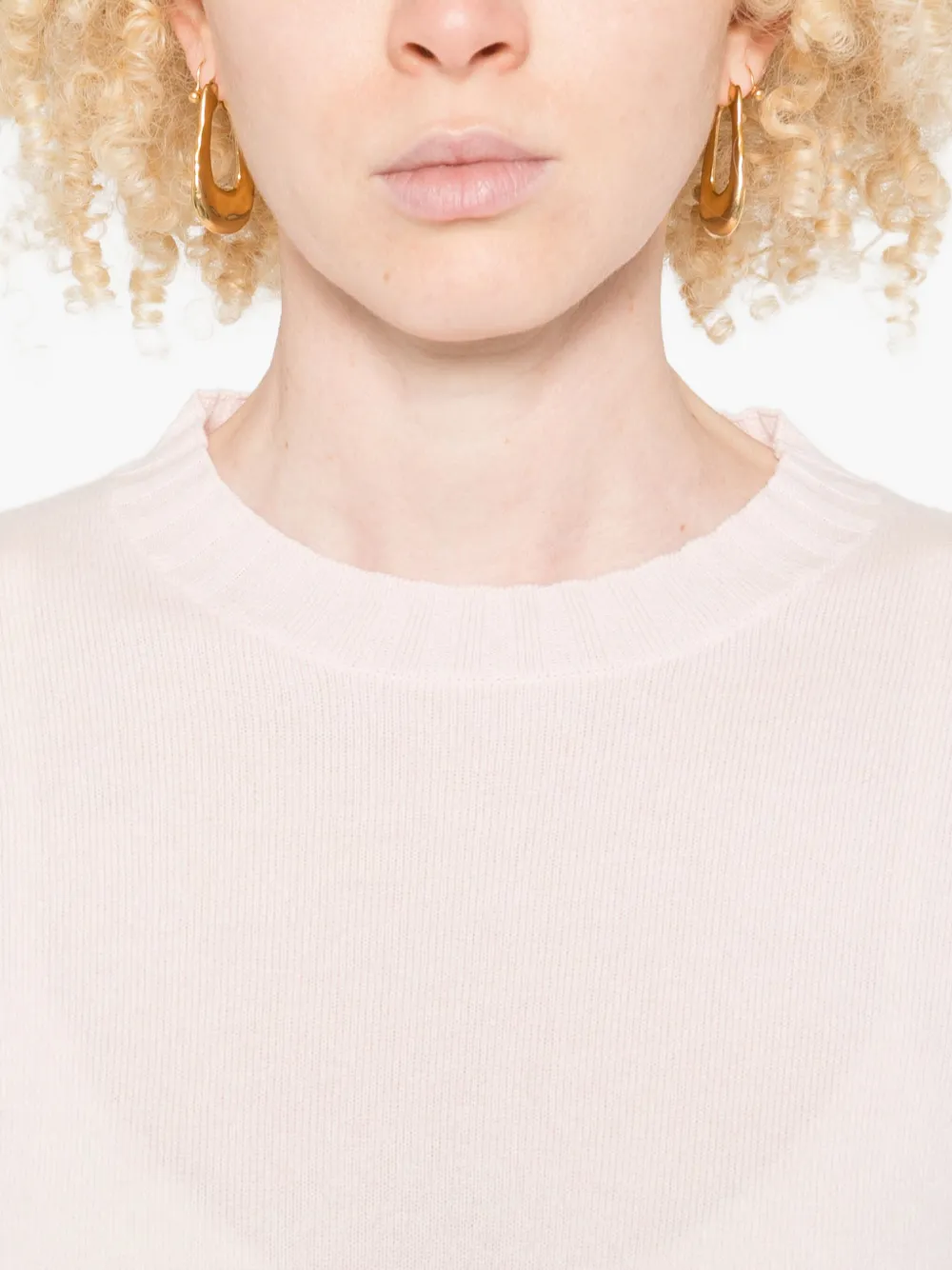 Fabiana Filippi Trui met ronde hals Roze