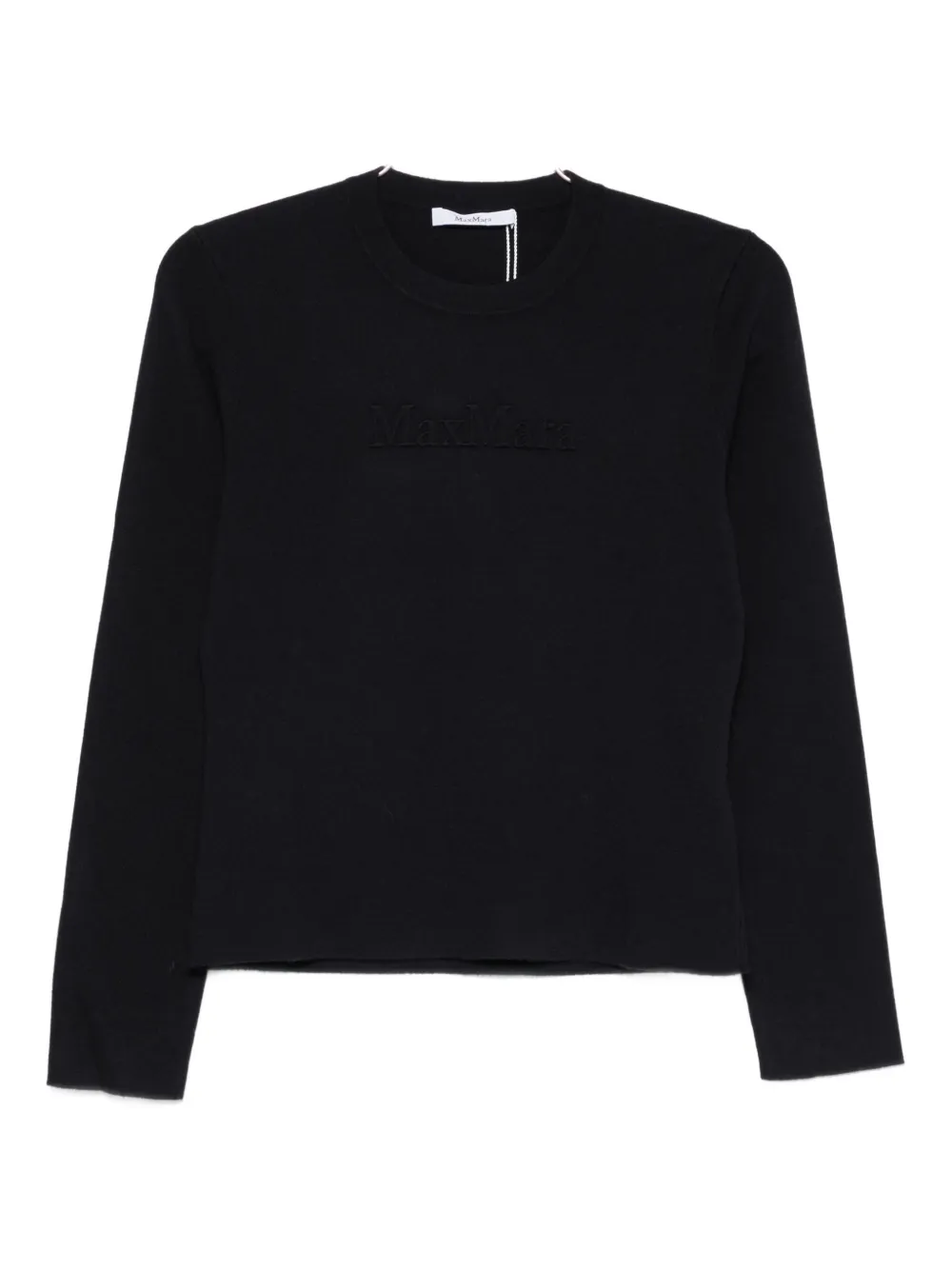 Max Mara Crew-neck Sweater In Blue