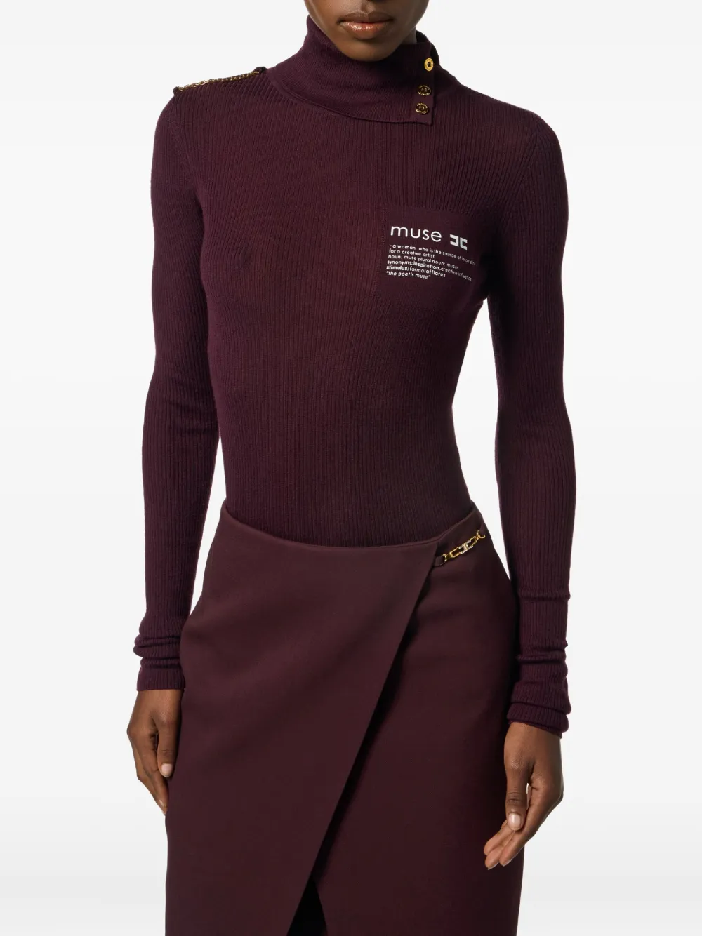 Elisabetta Franchi Ribbed Turtleneck Sweater In Burgundy
