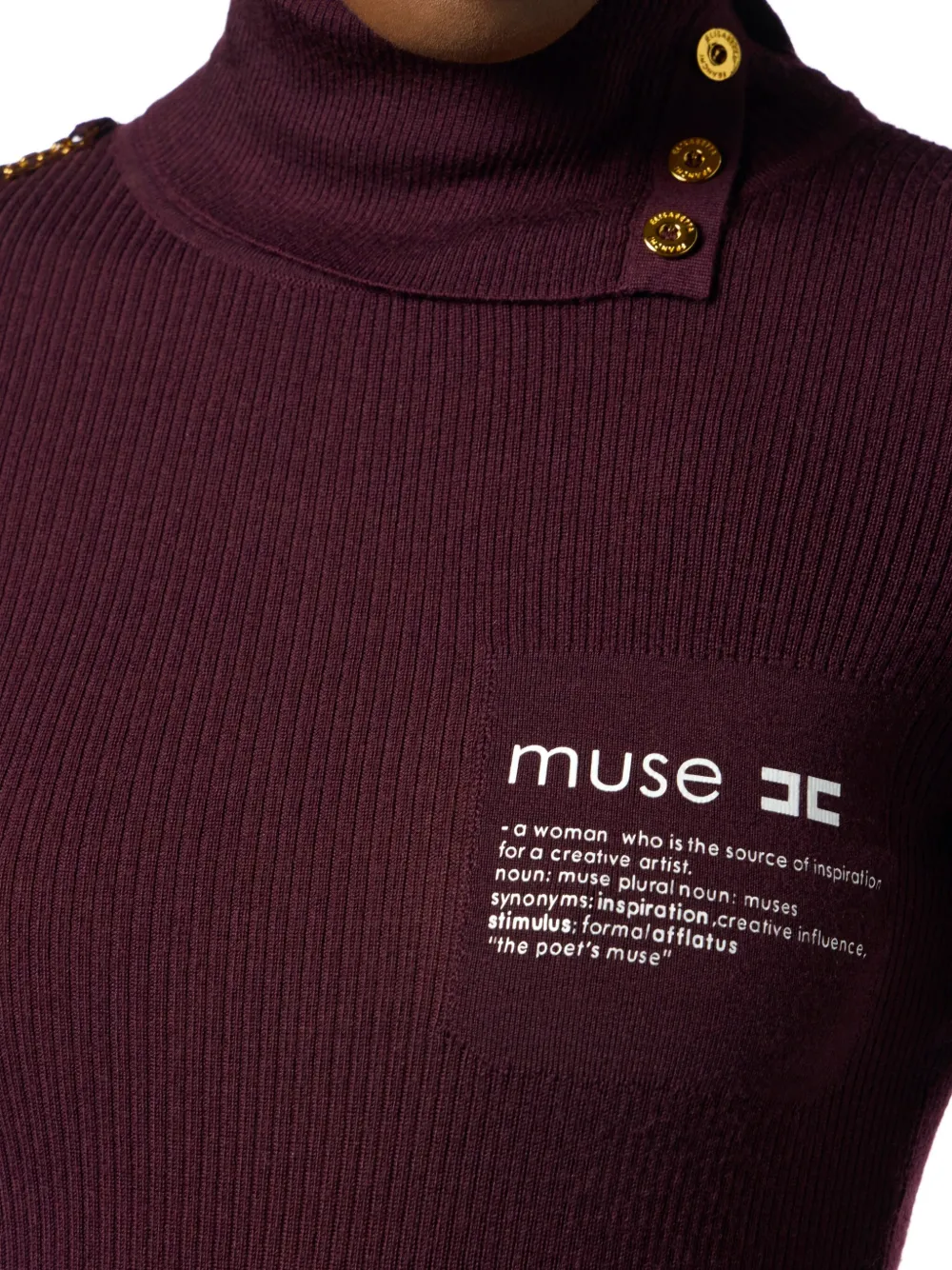 Elisabetta Franchi Ribbed Turtleneck Sweater In Burgundy