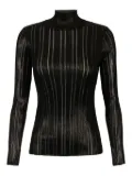Elisabetta Franchi striped roll-neck jumper - Black