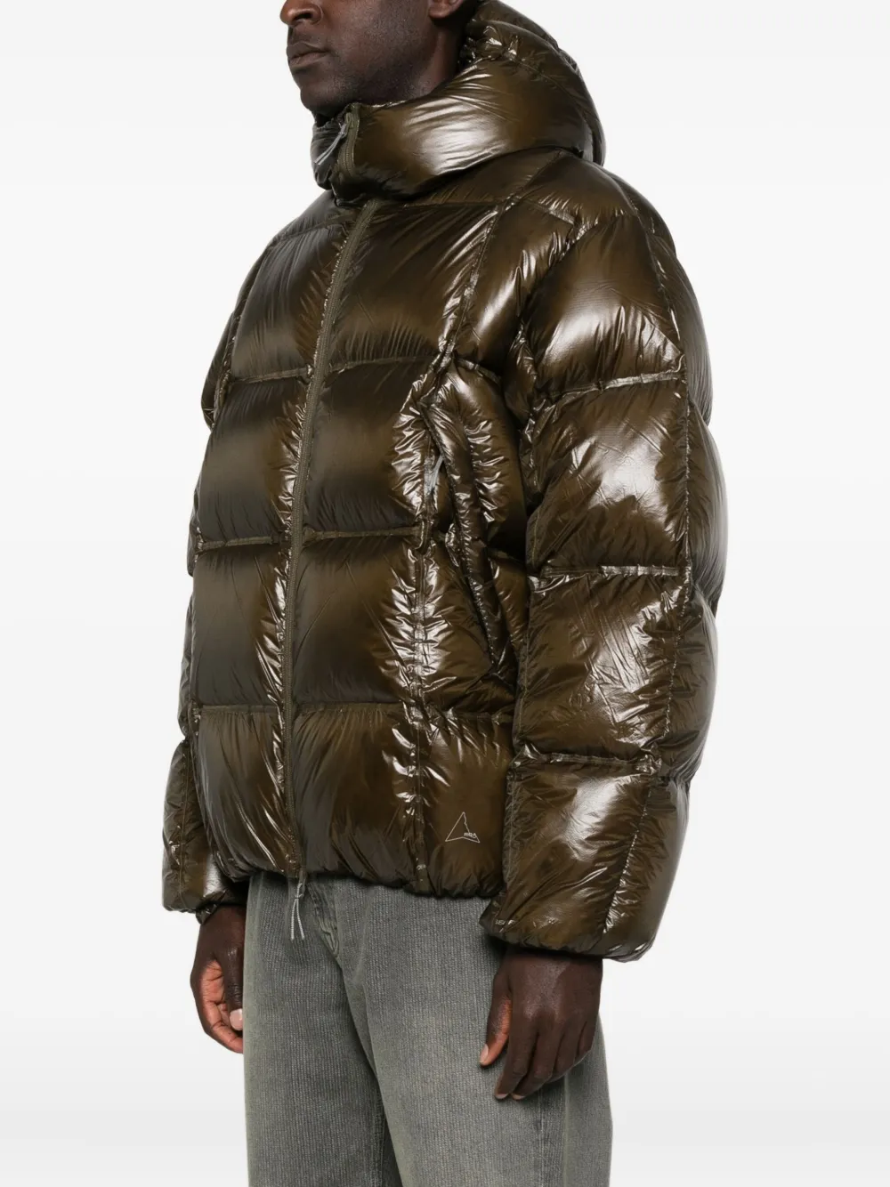 Roa Cube 650 Fill Power Down Jacket In Brown