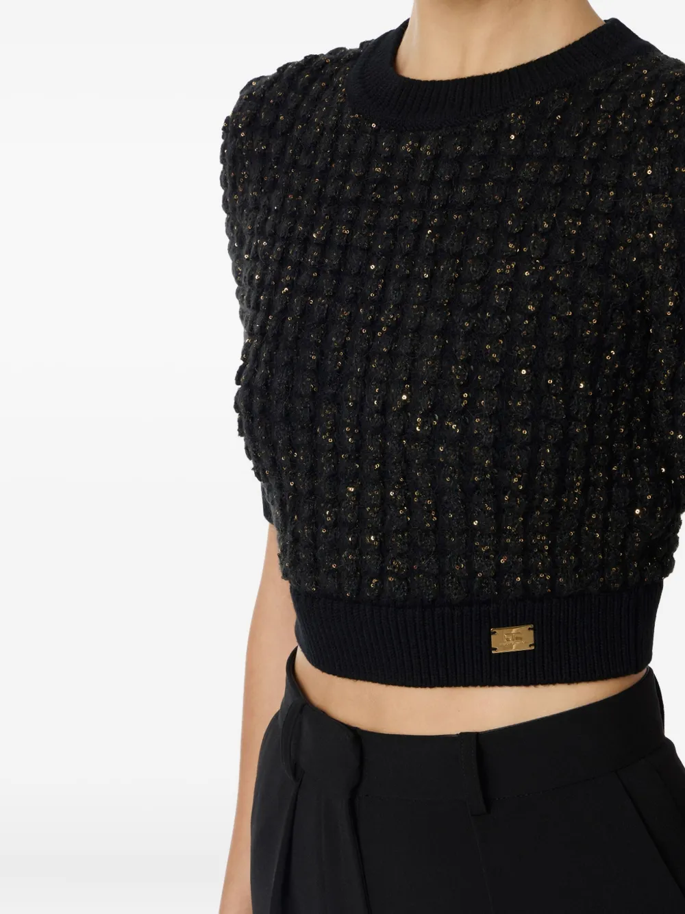 Elisabetta Franchi Sequin-embellished Cropped Sweater In Black