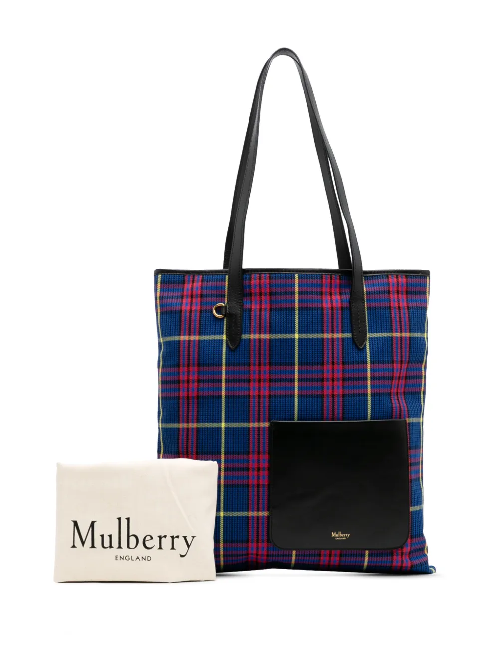 2015-2025 Plaid Canvas Tote Bag