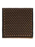 Alexander McQueen skull-print scarf - Brown