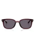 Ray-Ban RB4461D sunglasses - Brown