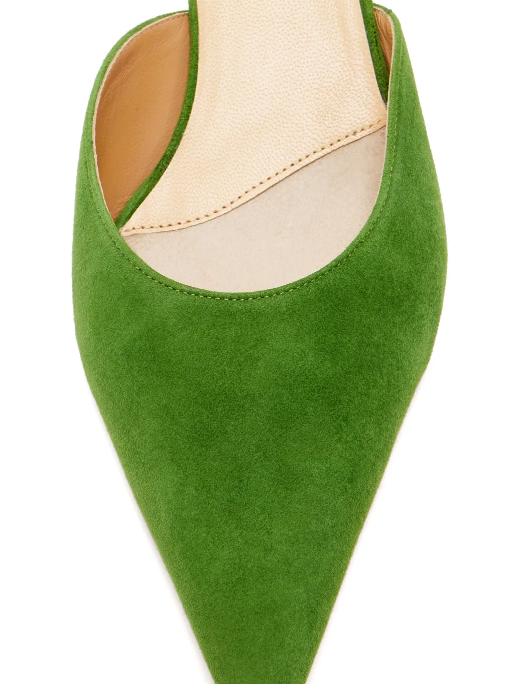 Francesco Russo Muiltjes met puntige neus Groen