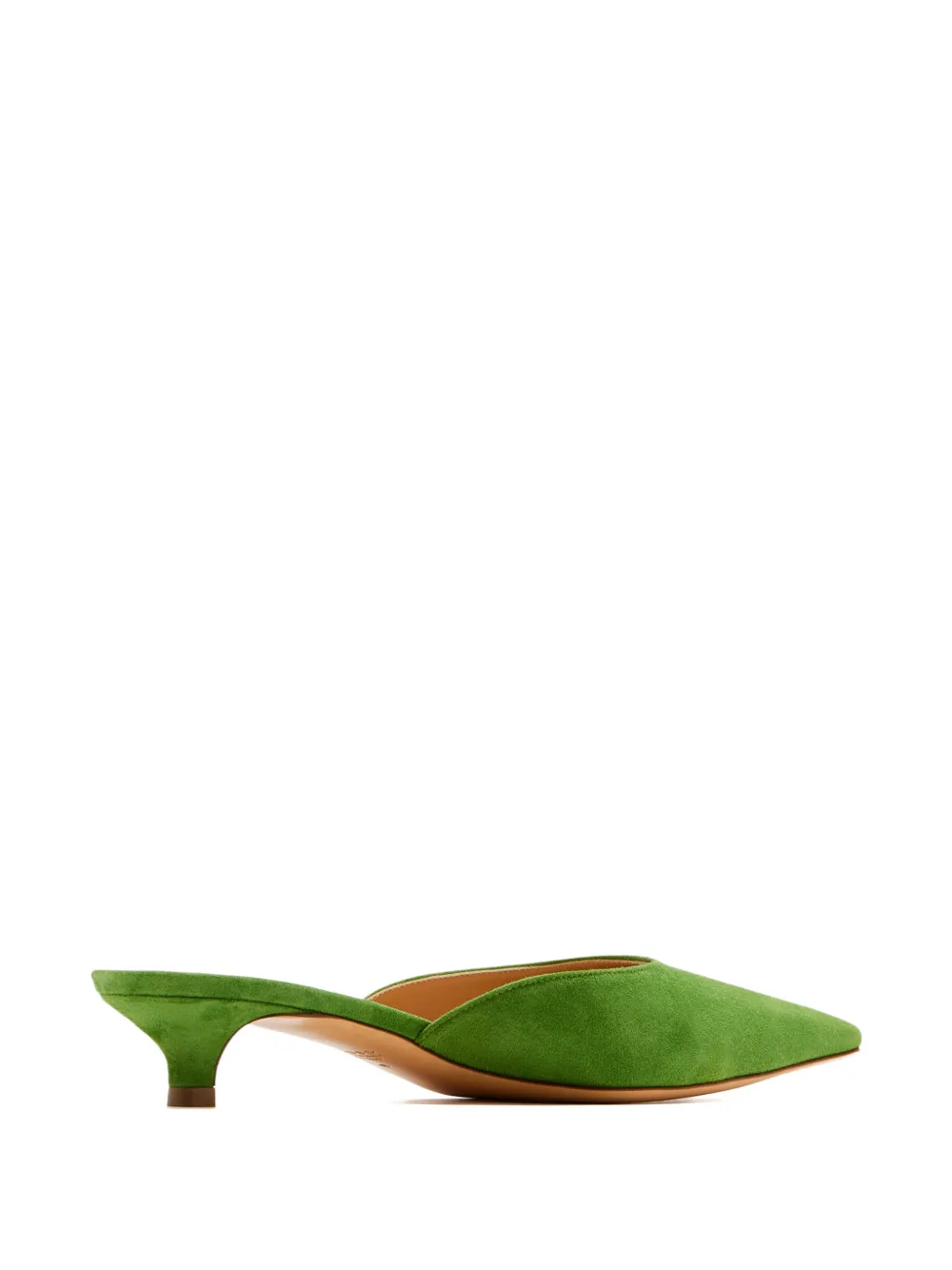 Francesco Russo Muiltjes met puntige neus Groen