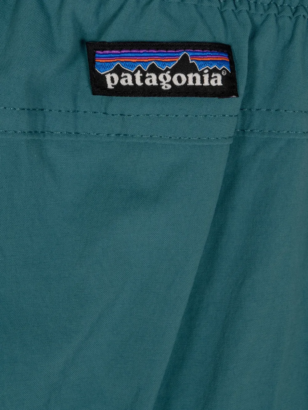 Patagonia Cargo broek Blauw