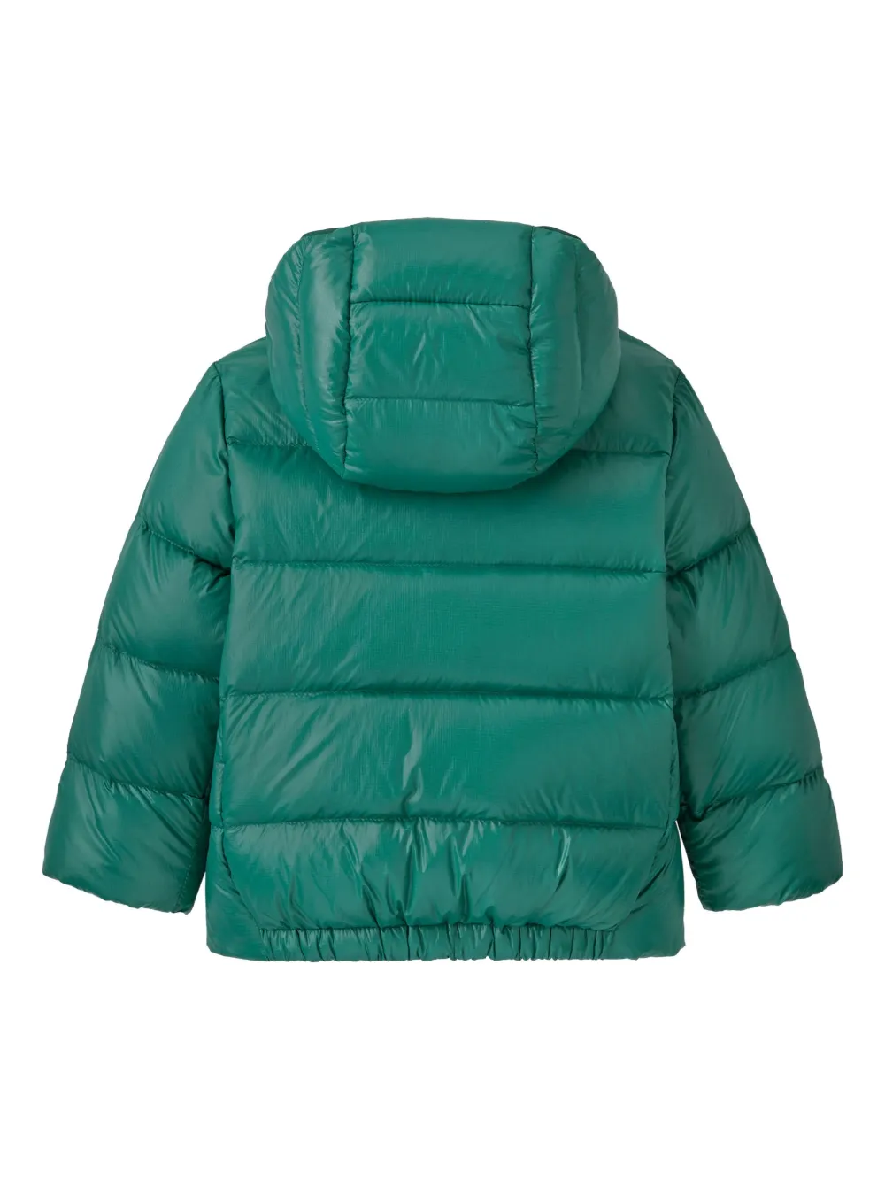 Patagonia Kids Baby Hi-Loft Down Sweater donsjack met capuchon Groen