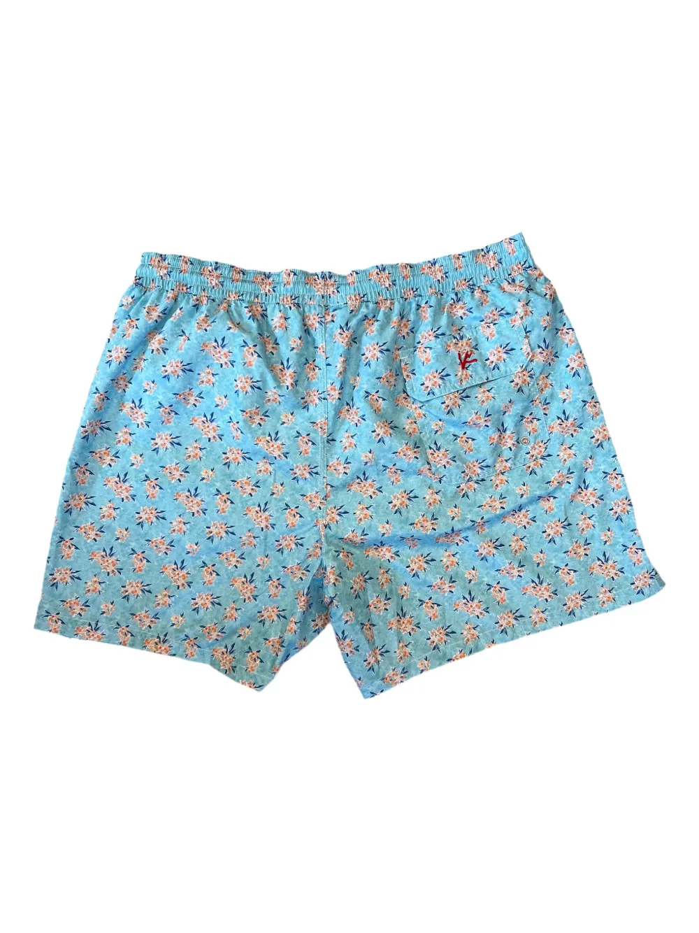 Isaia Zwembroek met bloemenprint Blauw