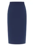 Alberta Ferretti pencil skirt - Blue