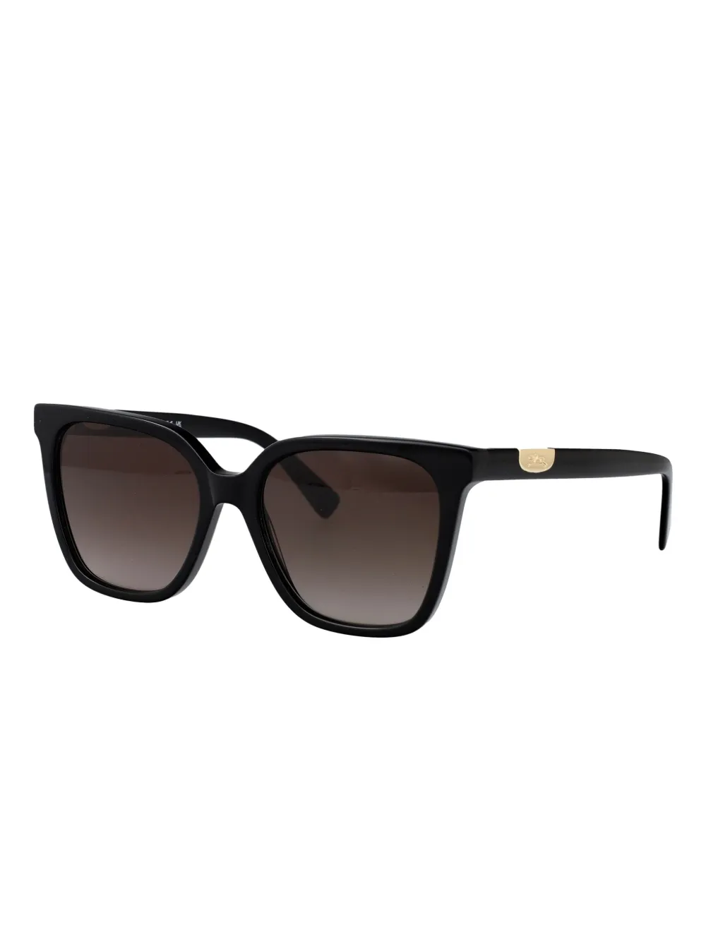 Longchamp Zonnebril met cat-eye montuur Zwart