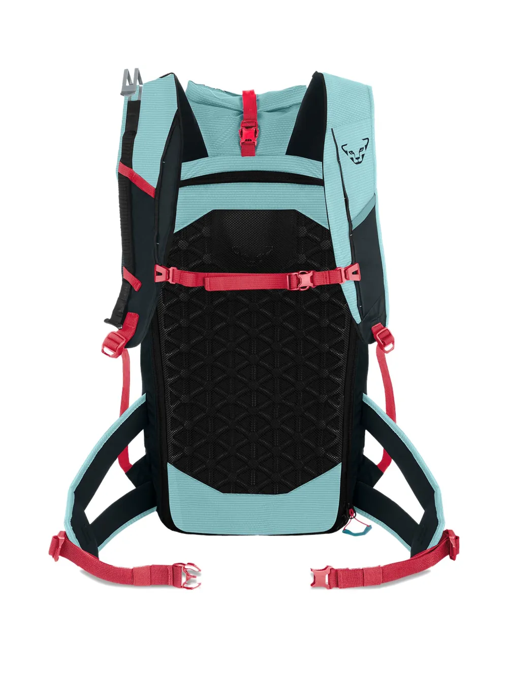 DYNAFIT Radical 30+ Ski Touring backpack | Women | Image 2