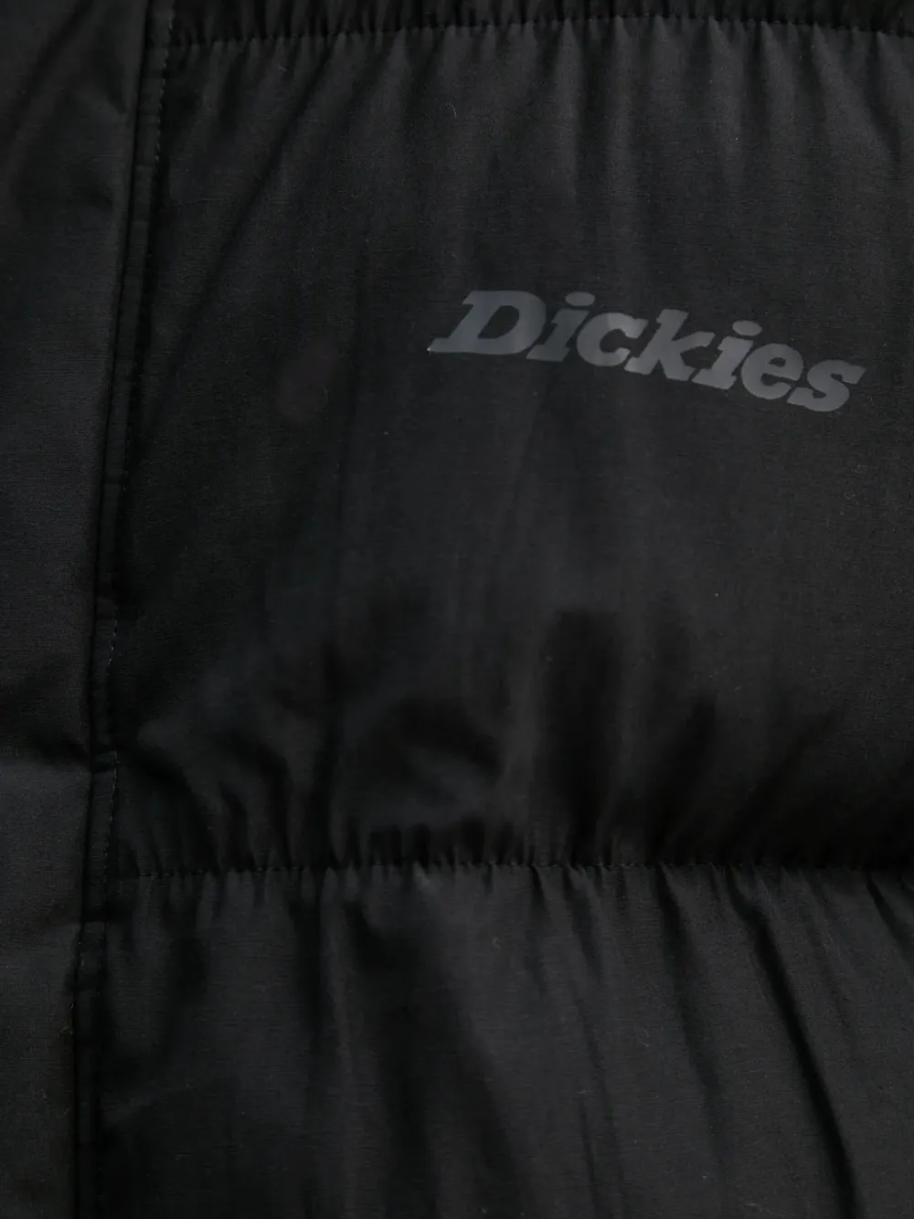 DICKIES Gewatteerd donsjack Zwart