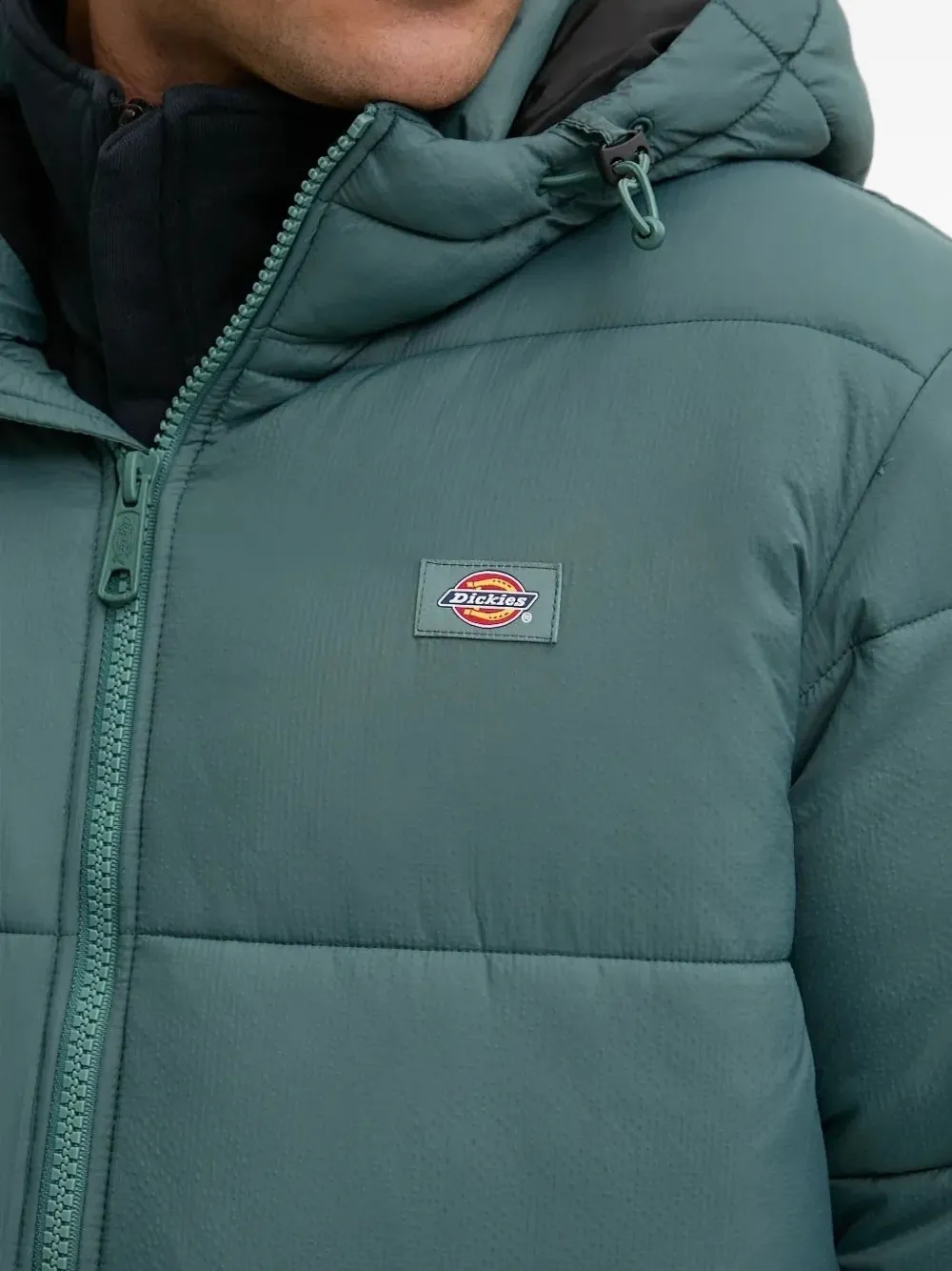 DICKIES Gewatteerd donsjack met capuchon Groen