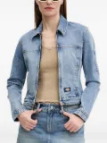 DICKIES zip-front patch-pocket jacket - Blue