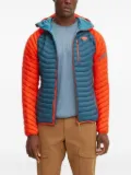DYNAFIT hooded quilted jacket - Blue