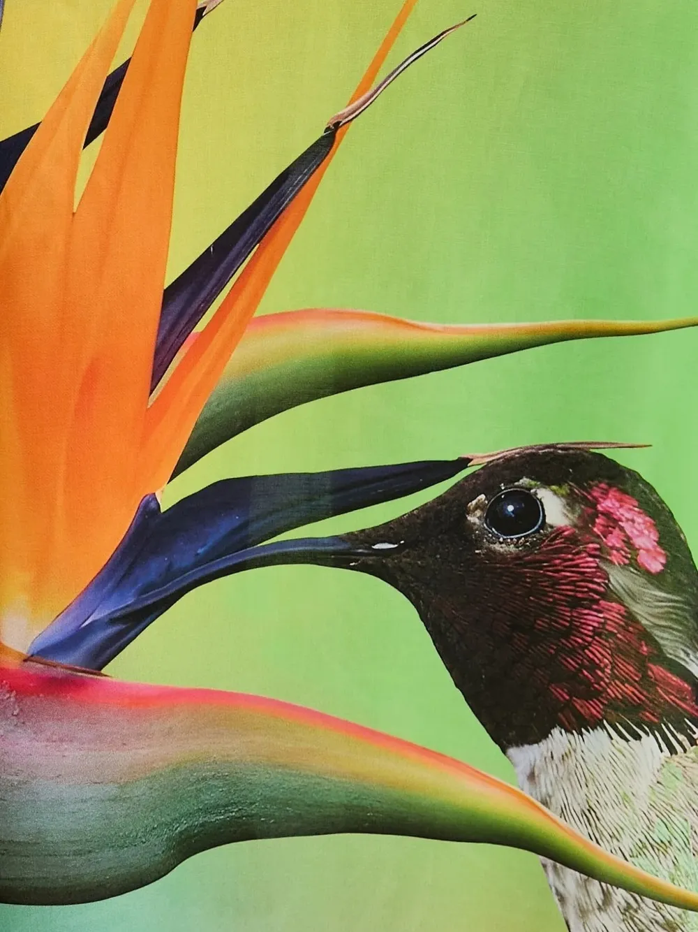 Desigual Maxi-jurk met logoprint Oranje