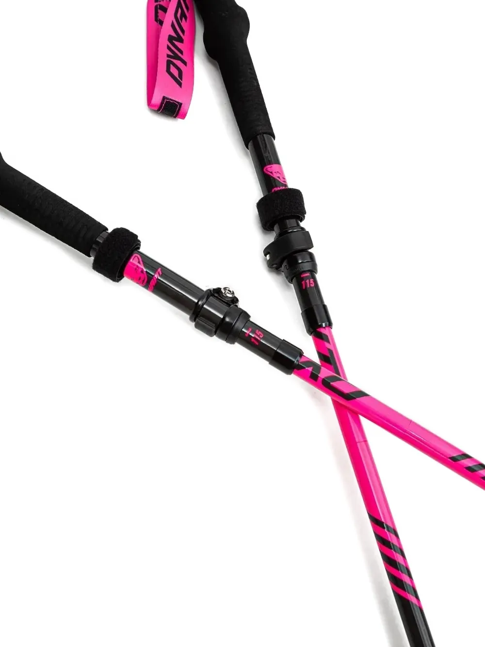 DYNAFIT carbon-fibre trekking poles | Equipment | Image 2