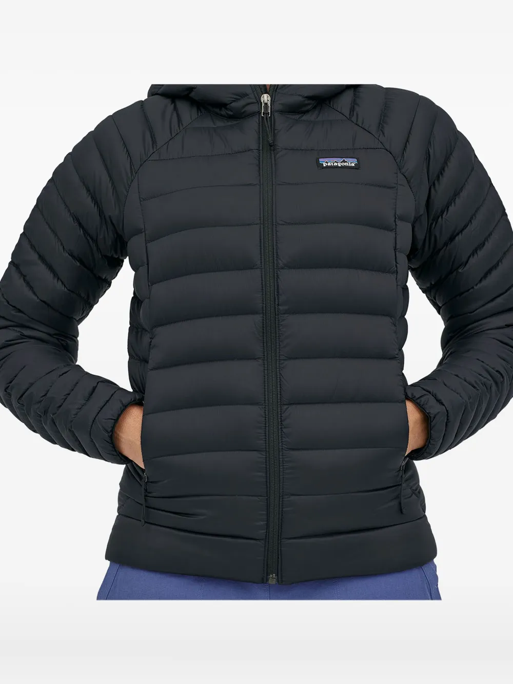 Patagonia hooded puffer jacket Zwart