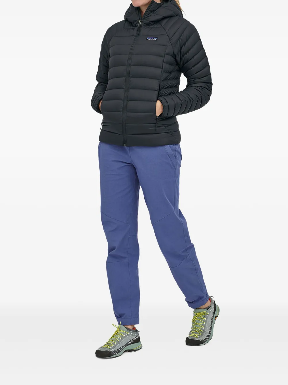 Patagonia hooded puffer jacket Zwart