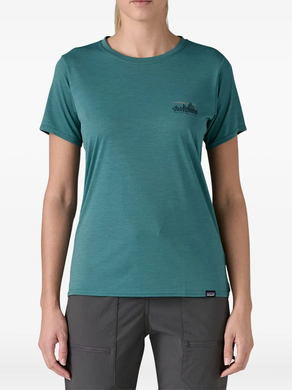 Patagonia グラフィック Tシャツ - グリーン Patagonia グラフィック Tシャツ - グリーン