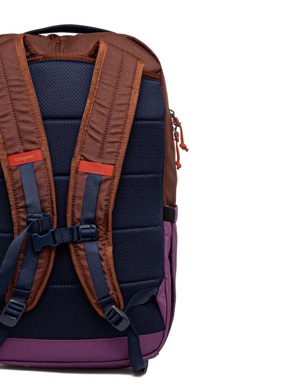 Cotopaxi Chiquillo Two-tone Panelled Backpack (26l) In Purple
