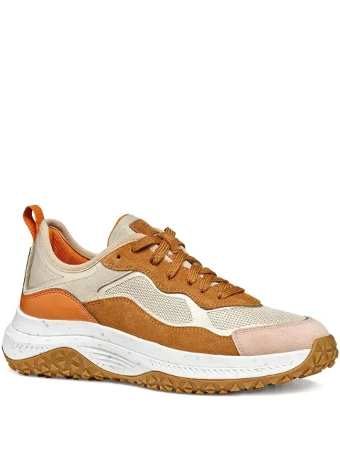 Geox Oliveira sneakers
