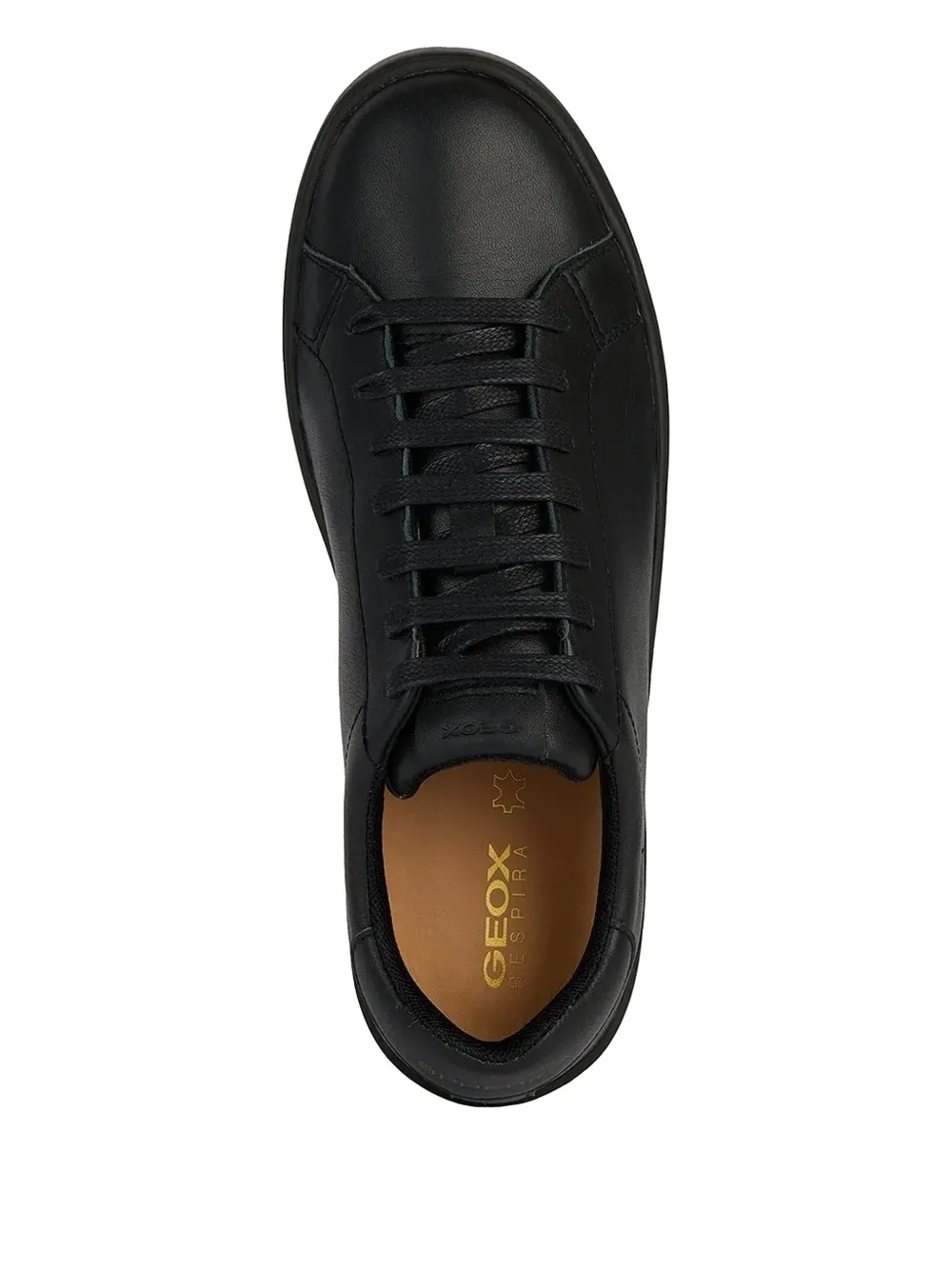 Geox Spherica Ecub-1 Sneakers In Black