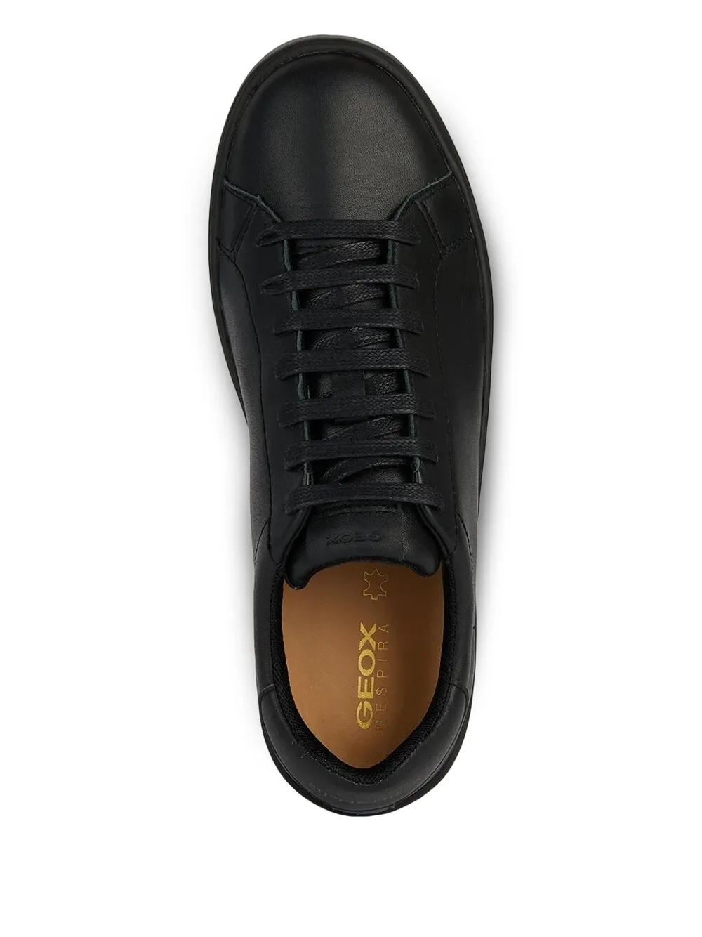 Geox Spherica Ecub-1 sneakers Black