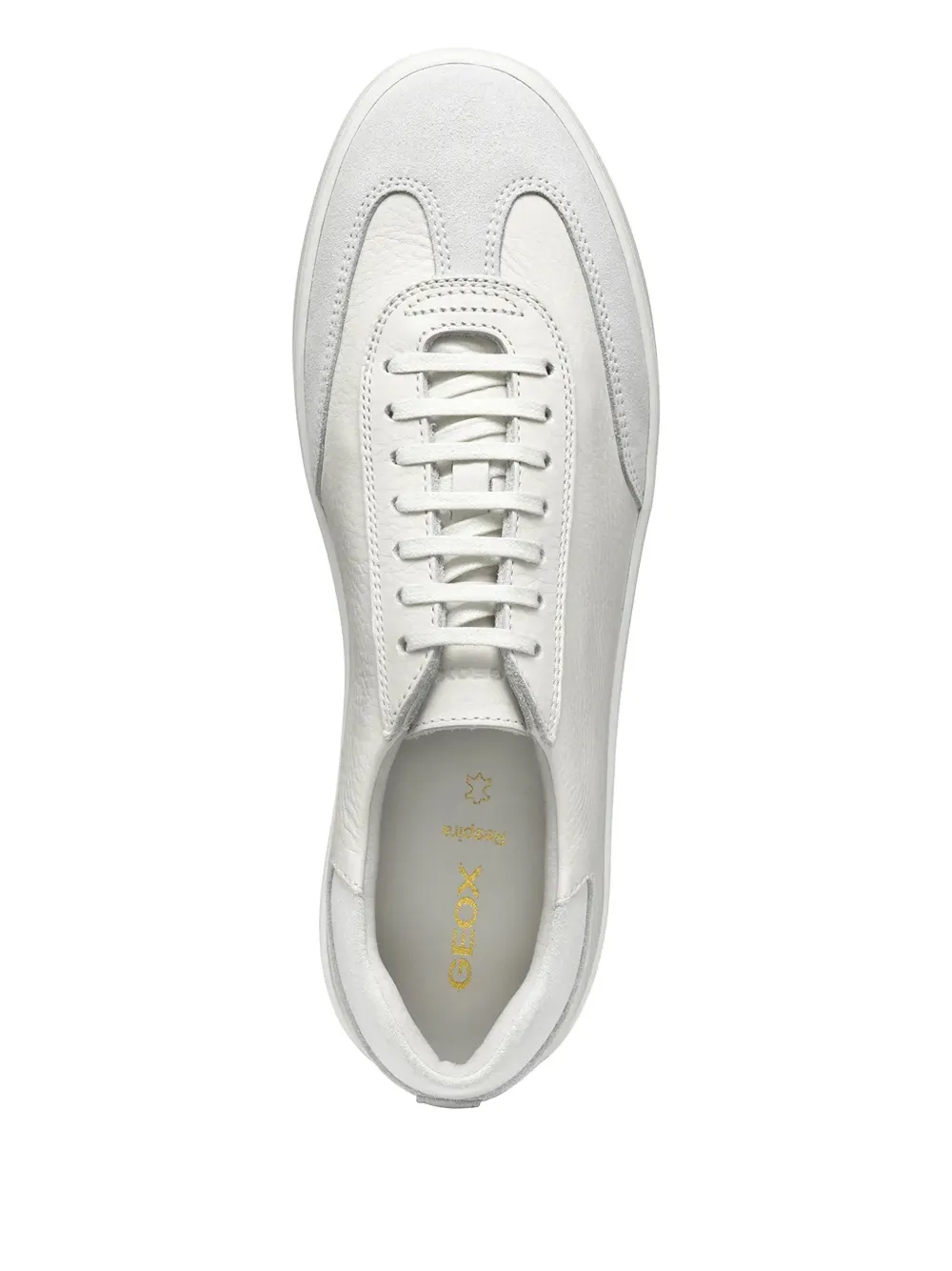 Geox Regio leather sneakers White