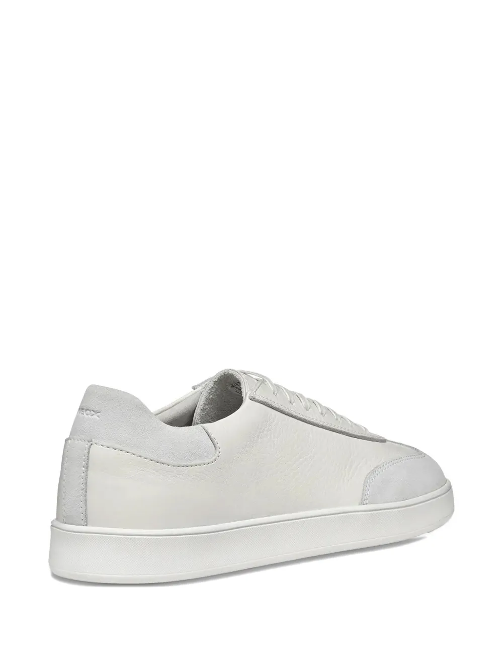 Geox Regio leather sneakers White