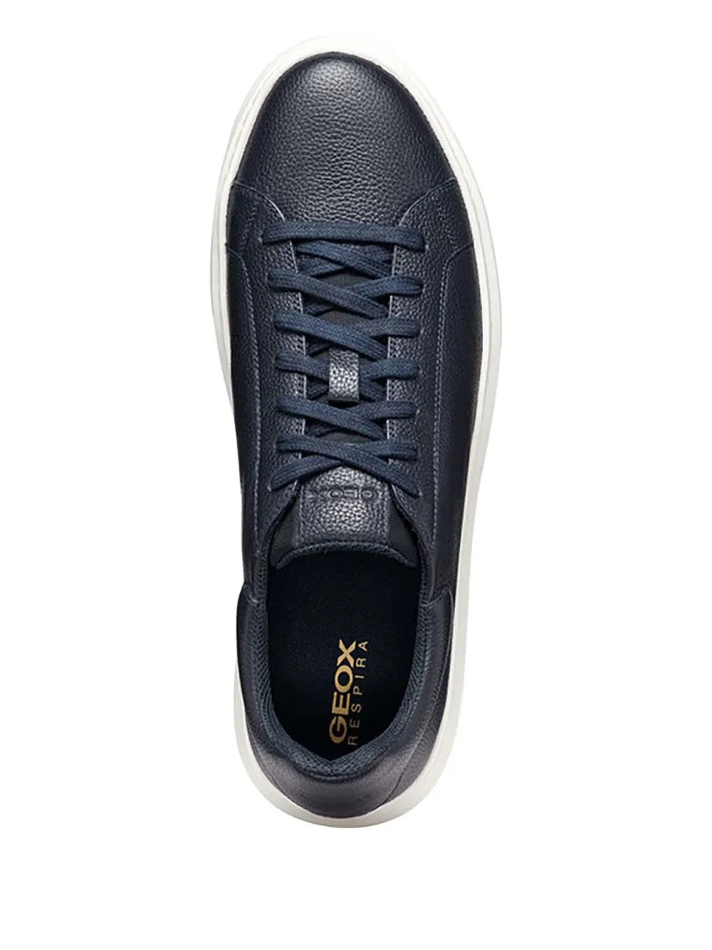 Geox Zackerty sneakers Blue